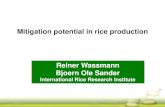 GHG mitigation potential in rice production