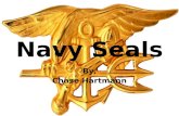 Navy seals 8