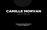 Morvan Visual CV