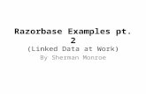 Razorbase Examples Part 2