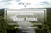 Dianor resources presentation, june 14 2011, tsxv dor otcqx rsdnf
