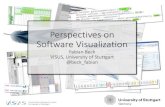 Perspectives on Software Visualization