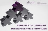 Benefits of using an interim service provider (3)
