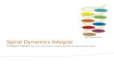 Spiral Dynamics Introduction