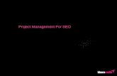 Seo Project Management