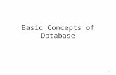 C1 basic concepts of database