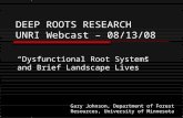 Unri Deep Roots Webcast 08 Compressed