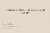 Distributed objects & components of corba