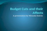 Budget Cuts And Their Affects