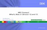 Rug   october 2014 - ims connect and what's new in v12 and v13