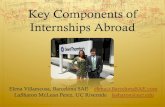 Key components of intenships abroad