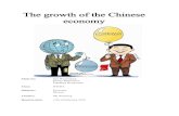 The Growth of the Chinese Economy
