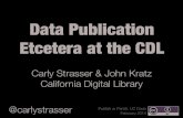 Data Publication for UC Davis Publish or Perish