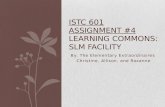 Elementary Extraordinaires Assignment 4 Part 1 Learning Commons SLM Facility