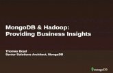 Webinar: MongoDB and Hadoop - Working Together to provide Business Insights