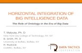 Horizontal Integration of Big Intelligence Data