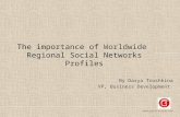 The importance of worldwide regional social networks profiles - Darya Trushkina (gameinsight)