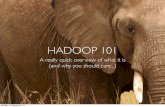 Hadoop 101 v1