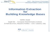 Information extraction for building knowledge basis