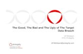 The good, the bad and the ugly of the target data breach