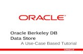 Oracle Berkeley DB - Data Storage (DS) Tutorial