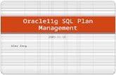 Oracle11g sql plan management