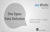 The Open Data Delusion
