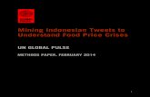 Global Pulse: Mining Indonesian Tweets to Understand Food Price Crises copy