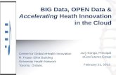 Big Data, Open Data & eHealth Innovation