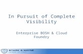 In Pursuit of Complete Visibility within Cloud Foundry (Cloud Foundry Summit 2014)