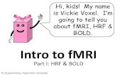 fMRI terms: HRF and BOLD