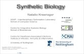 Computational Synthetic Biology