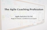 The Agile Coaching Profession