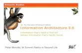 Information Architecture 3.0 (Second Life)