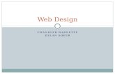 Websites Using Design Principles