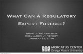 What Can a Regulatory Expert Foresee?