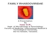 Family rhabdoviridae