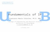 Fundamentals of IP - Francesco Maria Colacino