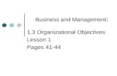 Bm 1.3 Organizational Objectives
