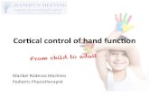 Cortical control of hand function