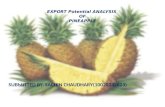 Export potential of pineapple