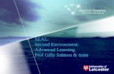 SEAL - Second Environment, Advanced Learning