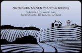 nutraceutical in animal feeding-ppt