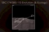 Evolution lectures1&2 September 2013