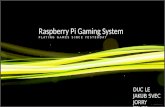 Raspberry pi gaming consolele
