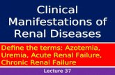 Clinical manifestations of renal diseases st