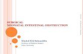 Neonatal intestinal obstruction
