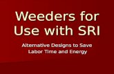 0896 Weeders for Use with SRI- Alternative Designs to Save Labor Time and Energy