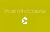 Amplexor Drupal for the Enterprise seminar - evaluating Drupal for the Enterprise