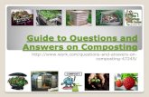 Guide To Questions And Answers On Composting